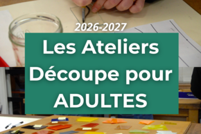 Découpe adulte