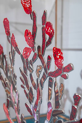 Détail Corail Gorgone aux Hippocampes crédit Yann Gachet - Agrandir l'image (fenêtre modale)