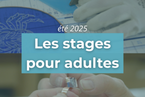 Les stages adultes